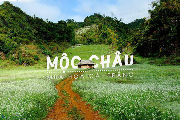 Tour Mộc Châu - Cầu Kính Bạch Long - Săn mây Tà Xùa (2 Ngày 1 Đêm)