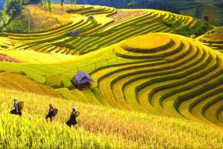 Tour Hà Nội - Hà Giang -Cao Nguyên Đá Đồng Văn- Sông Nho Quế (2 Ngày/ 3 Đêm)